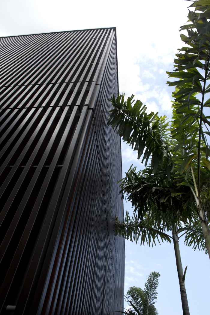 Casa árbol centenario-Singapur-1-domusxl-arquitectura
